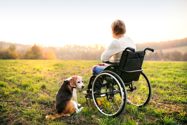 medical supplies wheelchair