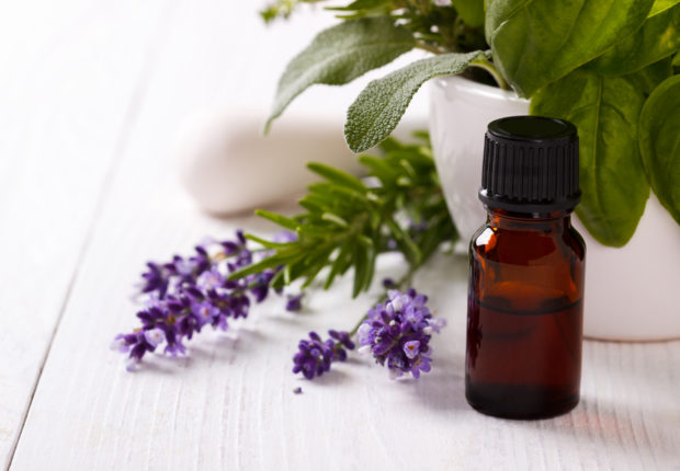 lavender flowers and essential oil over white background. Spa and wellness setting